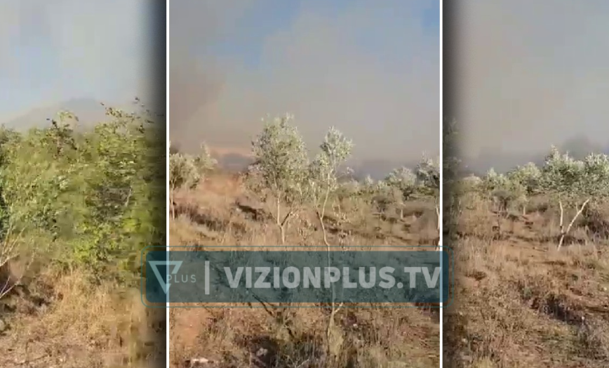 Zjarr në Parkun e Butrintit