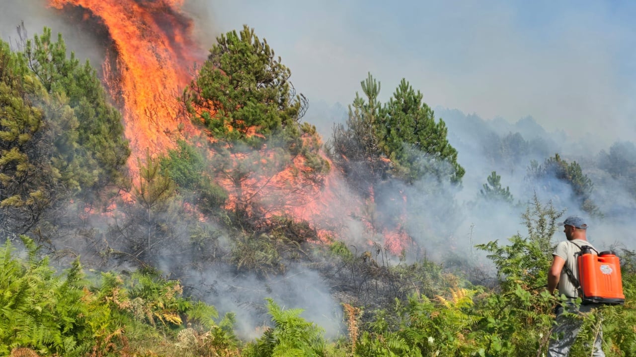 Zjarri shkrumboi disa fshatra të Gramshit, bashkisë i akordohet 3 milionë lekë fond ndihmë