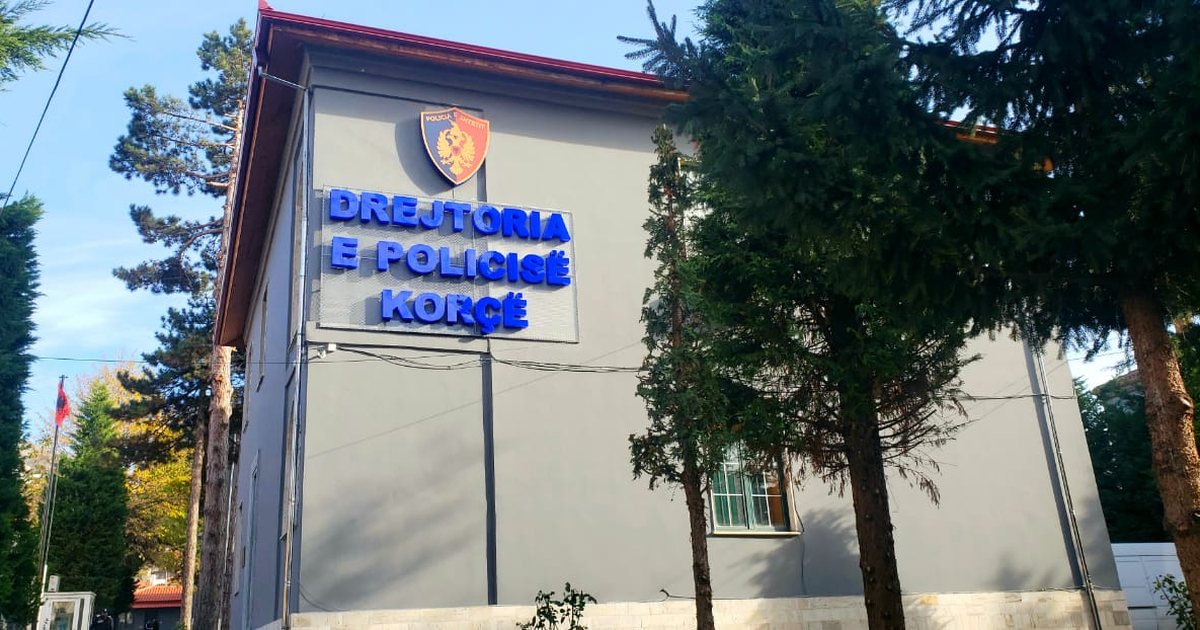 14-vjeçarja u vetëhodh nga pallati / Procedohet e ëma, akuzohet për dhunë psikologjike