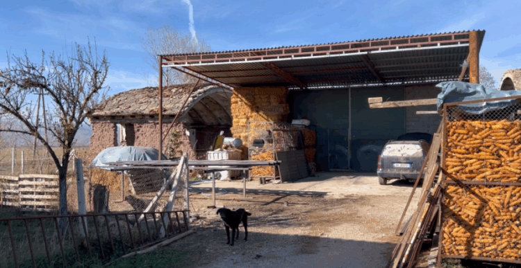 36-vjeçarja në Maliq tenton të vrasë veten në banesën e saj