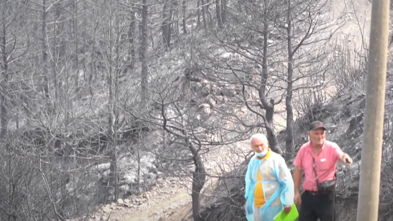 9.5 mld lekë dëme nga zjarret/ Mbyllet vlerësimi në Delvinë, banorët do dëmshpërblehen për dëmet