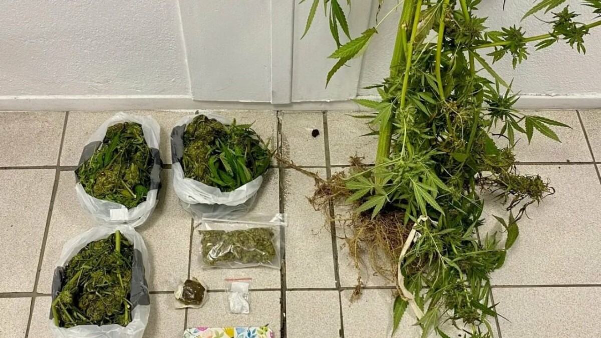 Aksion në Selanik/ Bien në pranga tre shqiptarë me armë dhe drogë