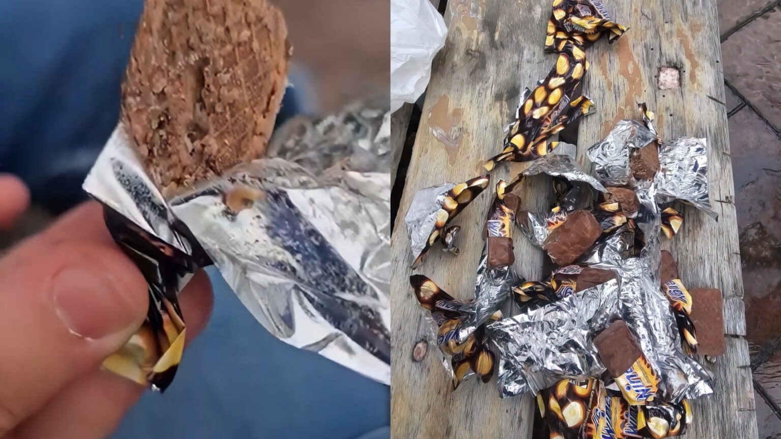 Alarm ushqimor në Tiranë: Çokollata me krimba rikthen shqetësimin për sigurinë e ushqimit