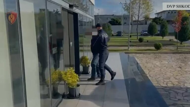 Bien në prangat e policisë dy persona në Shkodër/ Njëri kultivonte drogë pranë banesës, tjetri grabiste