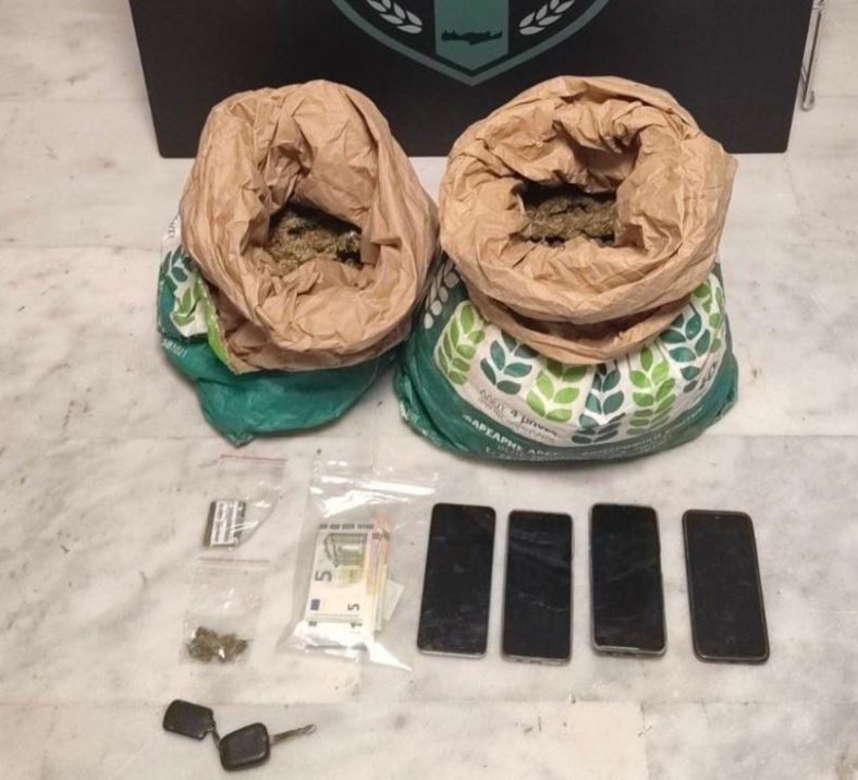 Bien në prangat e policisë dy shqiptarë/ Zbulohet parcela me drogë, kultivim me përkujdesje ndaj fidanëve…