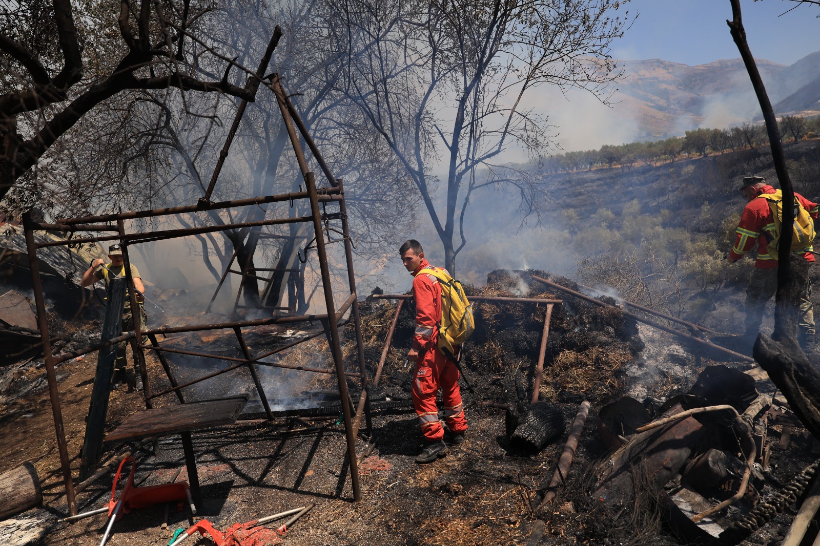 Bilanci i dëmeve nga zjarret në Delvinë, 9.5 miliardë lekë. Më e prekura, bujqësia!