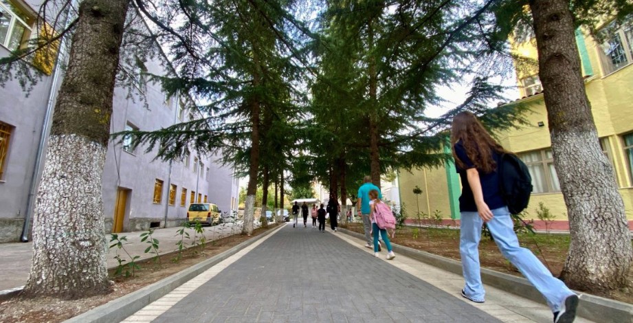 BIRN: Një në pesë fëmijë në Shkodër ka përjetuar bullizëm