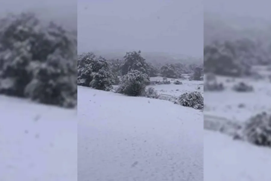 Bora mbulon me petkun e bardhë bjeshkët magjike të Sharrit