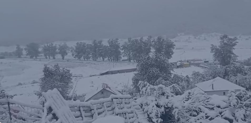 Borë e ngrica në Steblevë të Librazhdit/ Disa fshatra pa energji, rruga drejt Peshkopisë e kalueshme vetëm me zinxhirë
