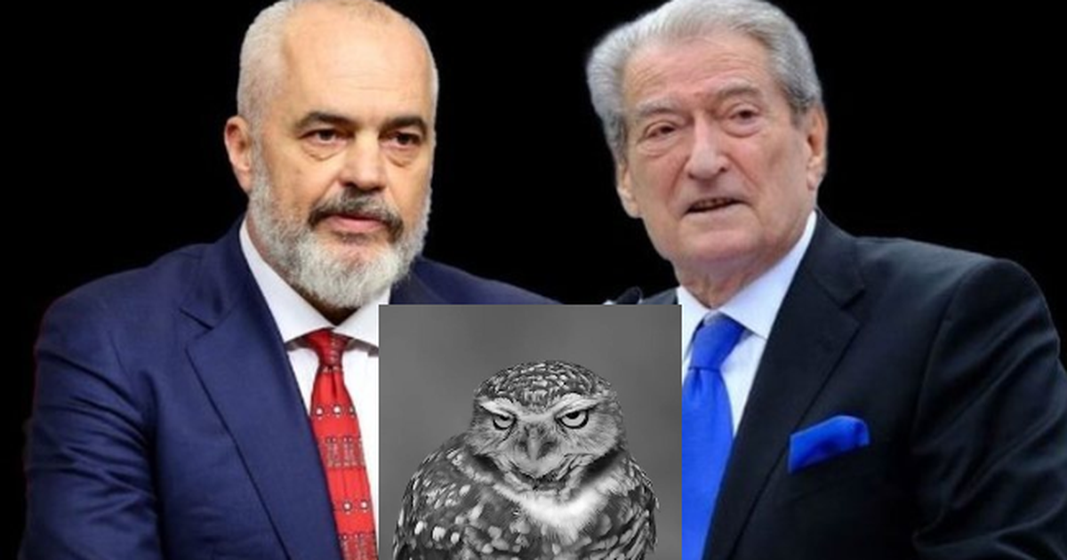 “Bufi i kënetës” ‘zë vend’ në raportin e OSBE-ODIHR: Sulme personale mes dy liderëve, Rama-Berisha