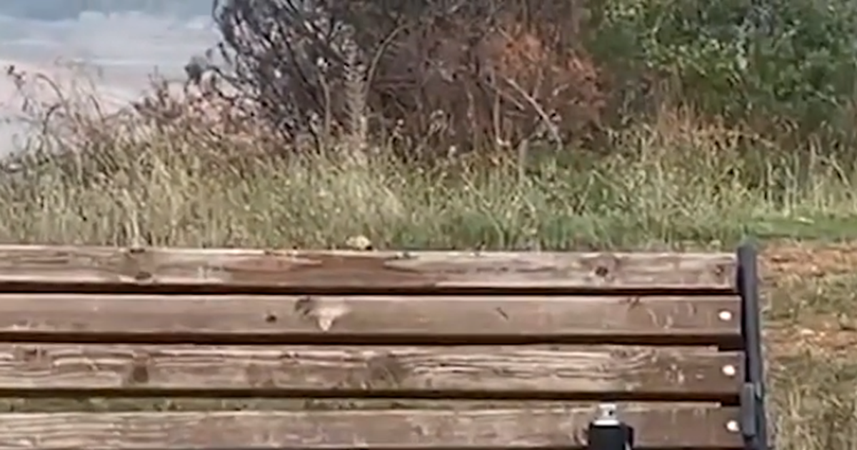 Çfarë ndodhi në Kukës? Një granatë LODËR “ngriti në këmbë” autoritetet