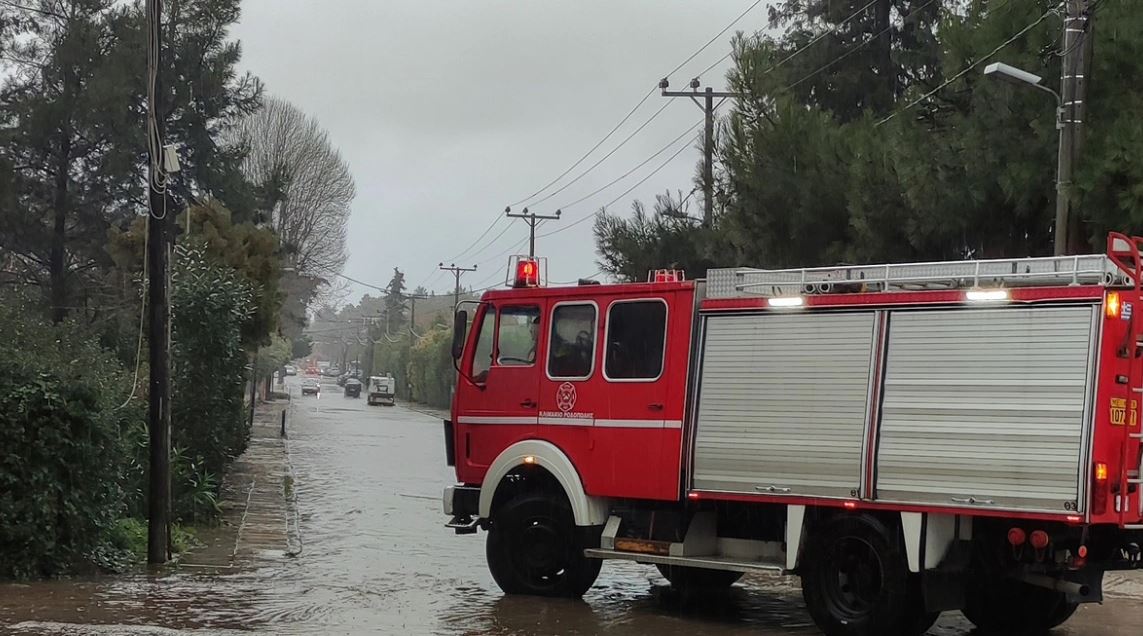 ‘Çmendet’ moti/ Stuhi e fuqishme godasin këtë vend, rrëzojnë pemët