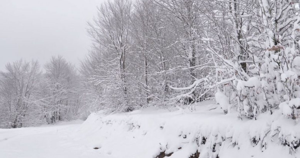 Dimri vjen para Vjeshtës! Dëbora ‘hap sezonin’, zbardh verilindjen e vendit, ulen temperaturat