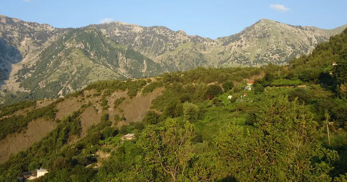 E rëndë në Vlorë, gjenden mbetje kockore, dyshohet për kafkë njerëzore