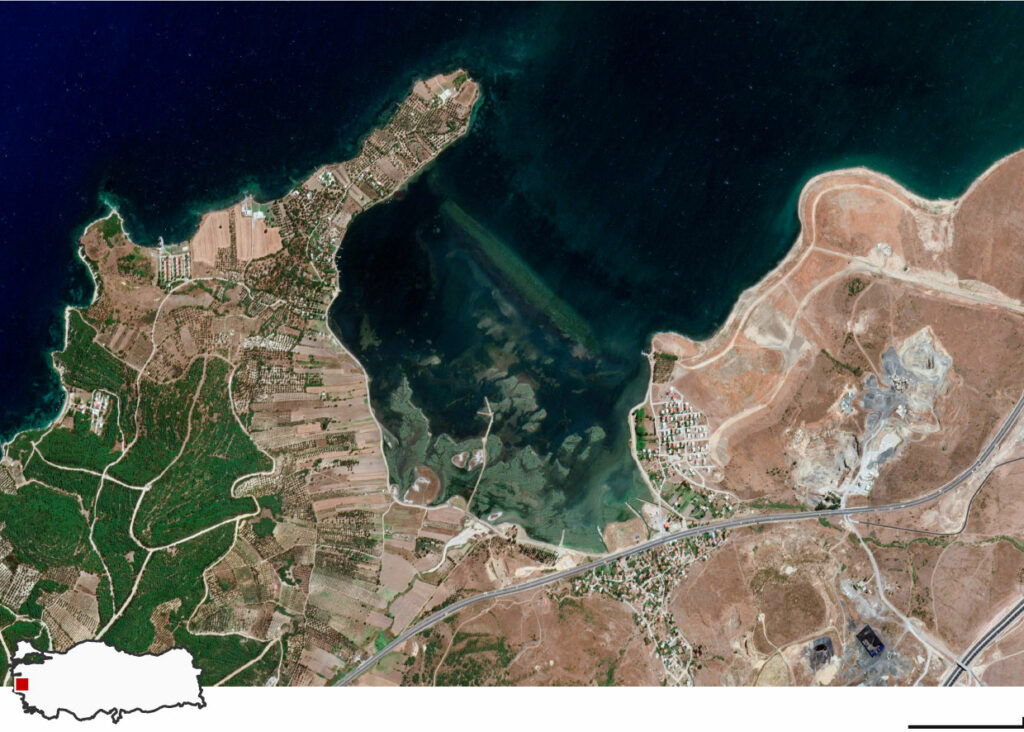 Europa po humbet çdo ditë sipërfaqe natyrore dhe tokë bujqësore sa 600 fusha futbolli