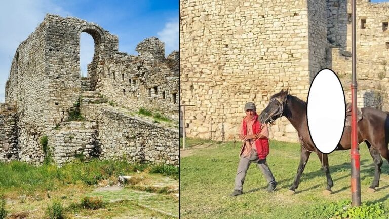 FOTO/ Ky është autori i vrasjes së 42-vjeçarit në Berat. E goditi viktimën pas sherrit për kalin