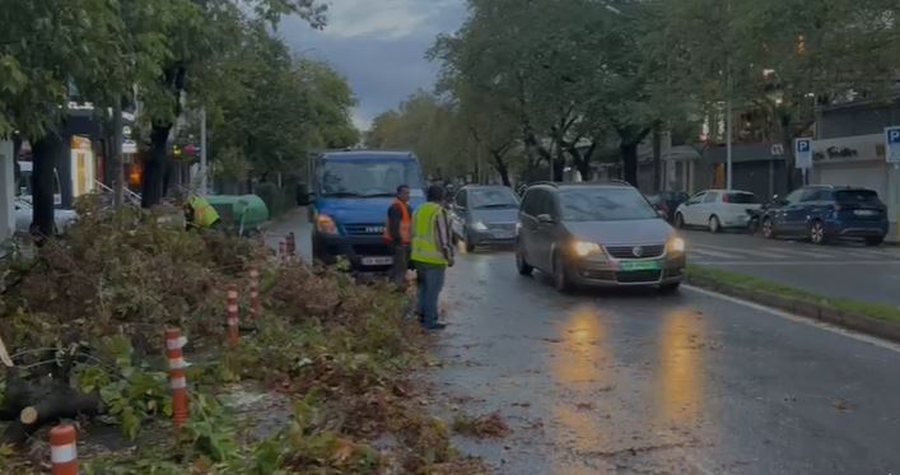 (FOTO-VIDEO)/ Era e fortë rrëzon pemët në rrugë, bllokohet përkohësisht qarkullimi