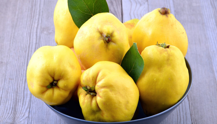 Ftoi – Fruti i artë dhe aromatik i vjeshtës