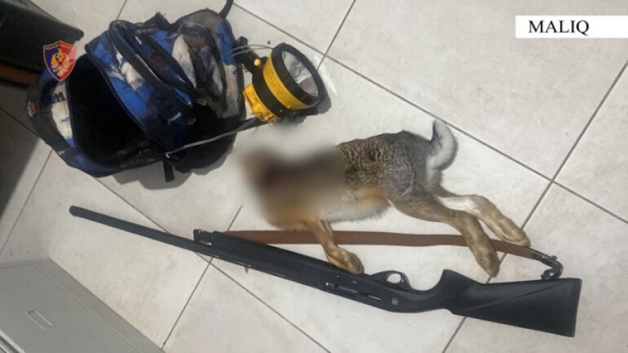 Gjueti e paligjshme me armë gjahu në Maliq, procedohen penalisht 3 shtetas