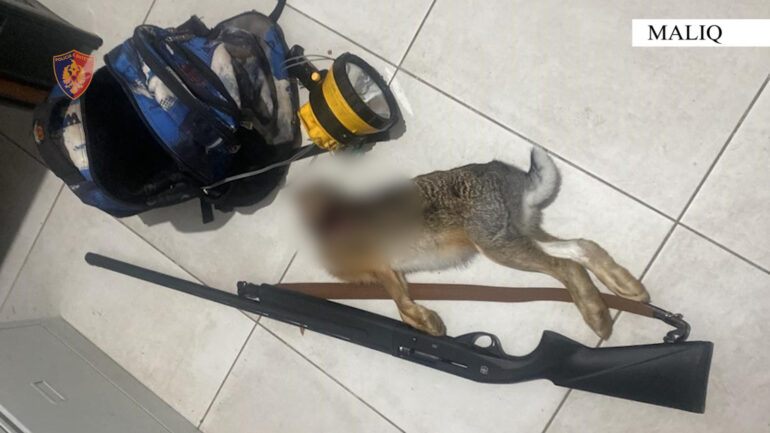 Gjueti e paligjshme në Maliq, procedohen penalisht 3 shtetas