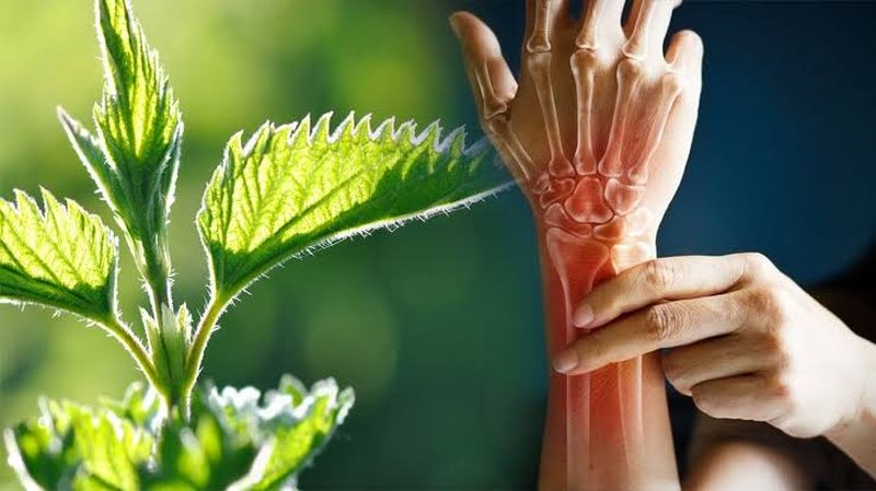 Hithra, mrekulli për dhimbjet e kyçeve! Ja si ta përdorni