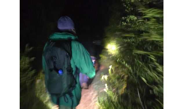 Humbën në Parkun e Llogorasë, policia gjen pas disa orësh kërkime turistët suedezë