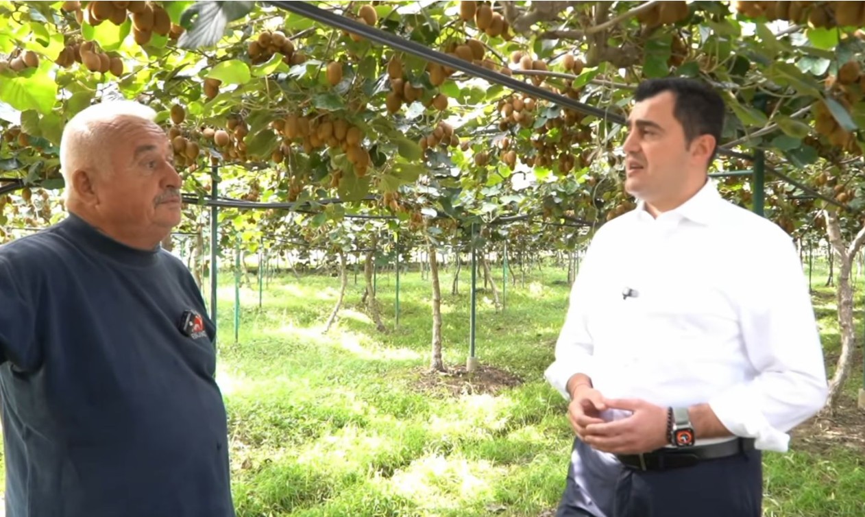 “Kivi nga Elbasani po gjen vend në tregjet e huaja”, Kryebashkiaku Llatja viziton fermerin në Jagodinë