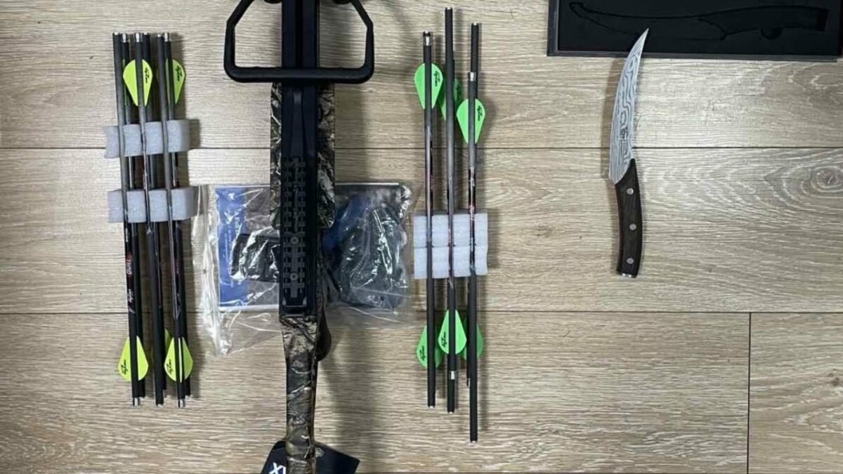 Kontroll i ‘hekurt’/ Tentoi të hynte në Shqipëri me një hark dhe 21 shigjeta, kapet në doganën greke i huaji