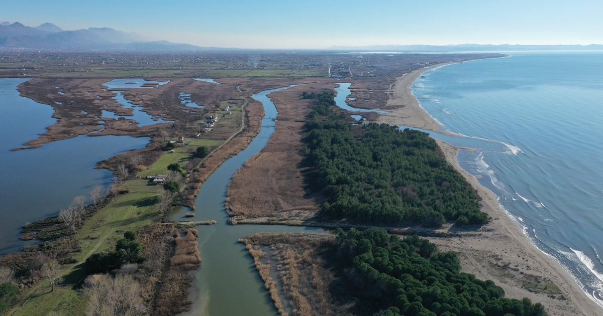 Kujt i përkasin? U përfituan nga krimi! GJKKO, konfiskohen mbi 15 mijë m2 truall në Shëngjin