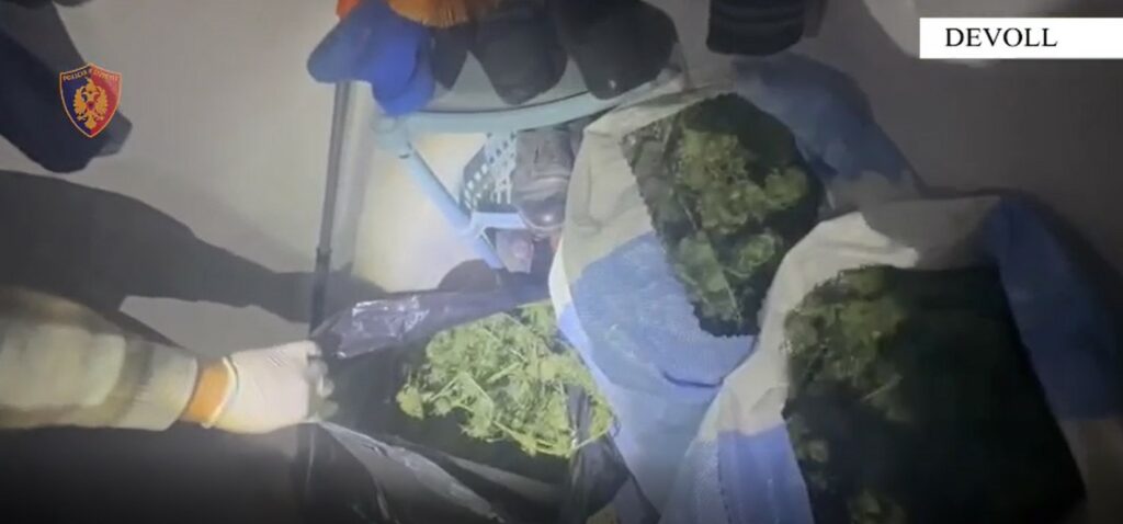 Kultivuan kanabis në tokën e tyre dhe e fshehën në banesë, arrestohet çifti në Devoll