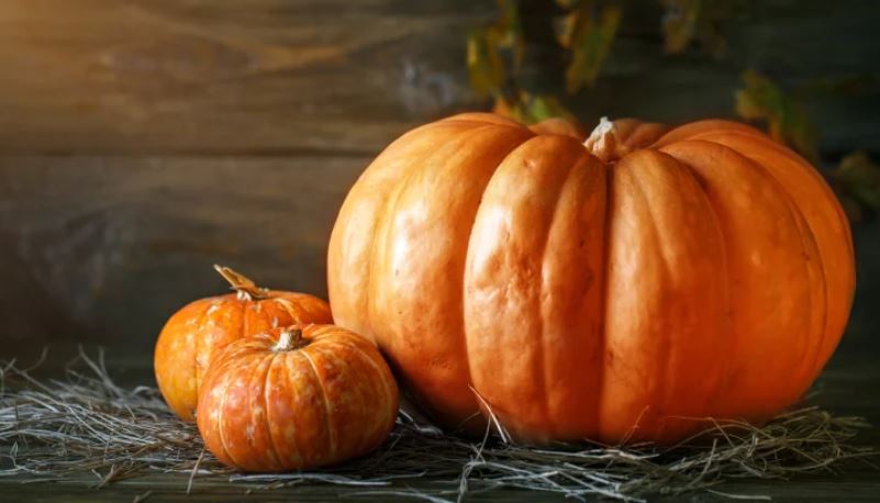 Kungulli i vjeshtës është një superushqim, ja pse…