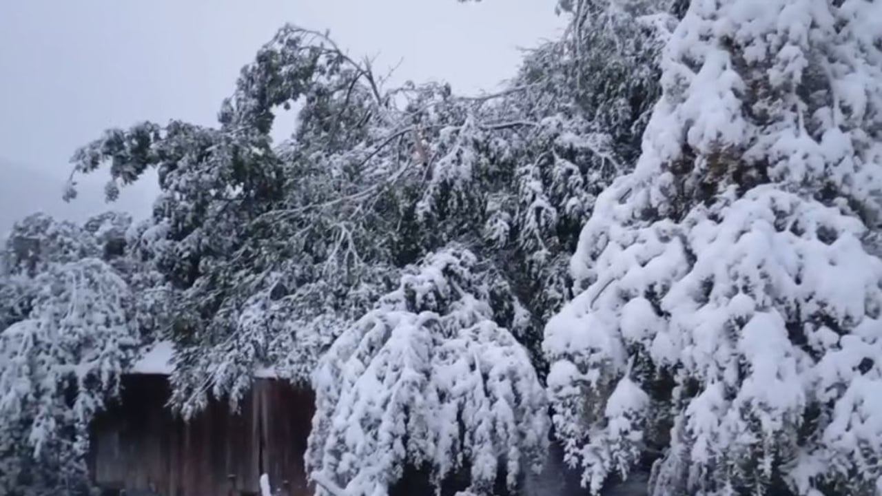 Mbetën të bllokuar në Bjeshkën e Javorrit si pasojë e dëborës, shërbimet e arrijnë të gjejnë personat që kërkuan ndihmë