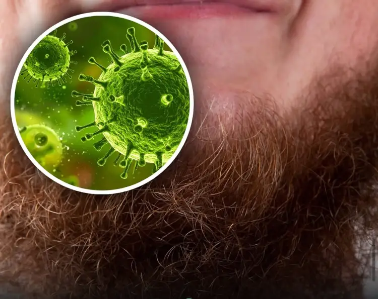 Mjekrat e burrave mund të jenë një ‘fole’ për baktere më shumë se trupi i qenve