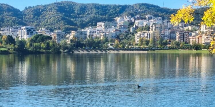 Ndotje alarmante/ Ujërat e zeza shkarkohen në liqenin Artificial të Tiranës