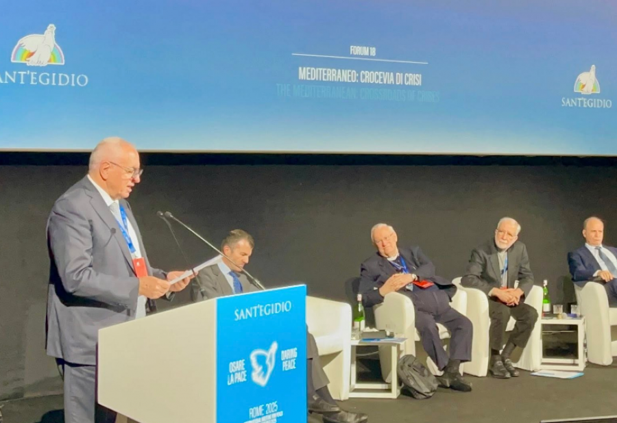 Nga kriza në paqe: Roli i Ballkanit në Mesdheun e ri!