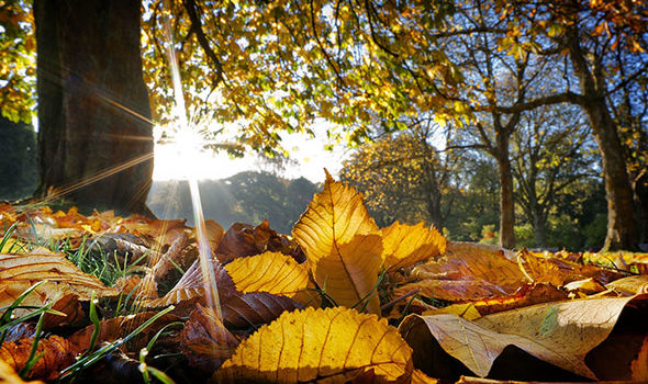 Parashikimi/ Çfarë ndodh me motin gjatë muajit nëntor