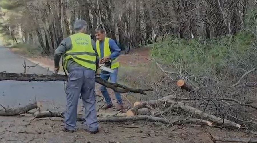 Pishat e dëmtuara rrëzohen në rrugë, Pylli i Sodës i rrezikshëm për kalimin me automjete