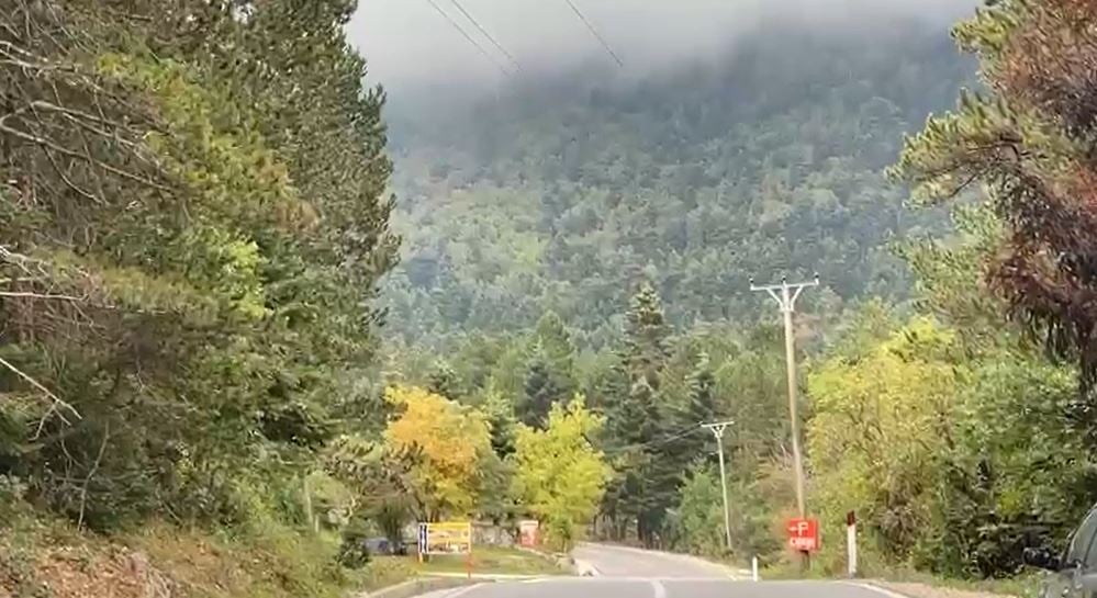 Po eksploronin zonën, humbin në Llogara nënë e bir nga Suedia, nis kërkimi nga policia AZDM dhe emergjencat civile