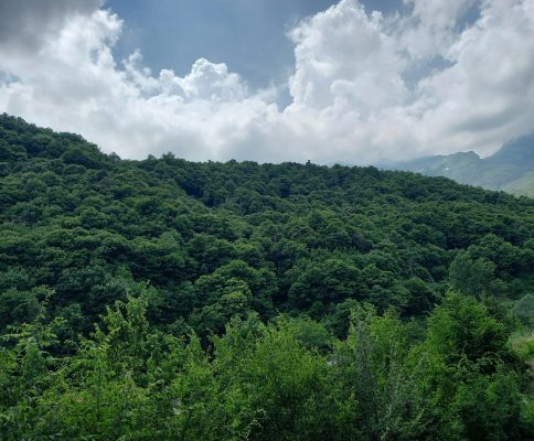 Po mblidhte gështenja me të ëmën, zhduket në mënyrë misterioze 26-vjeçari në Tropojë