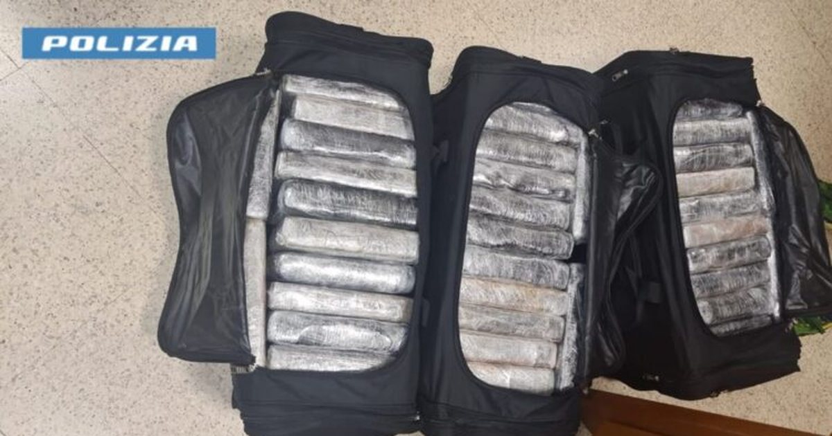 Po trafikonte 105 kg kokainë, 6 vite burg për shqiptarin, droga e spërkatur me aromë mente