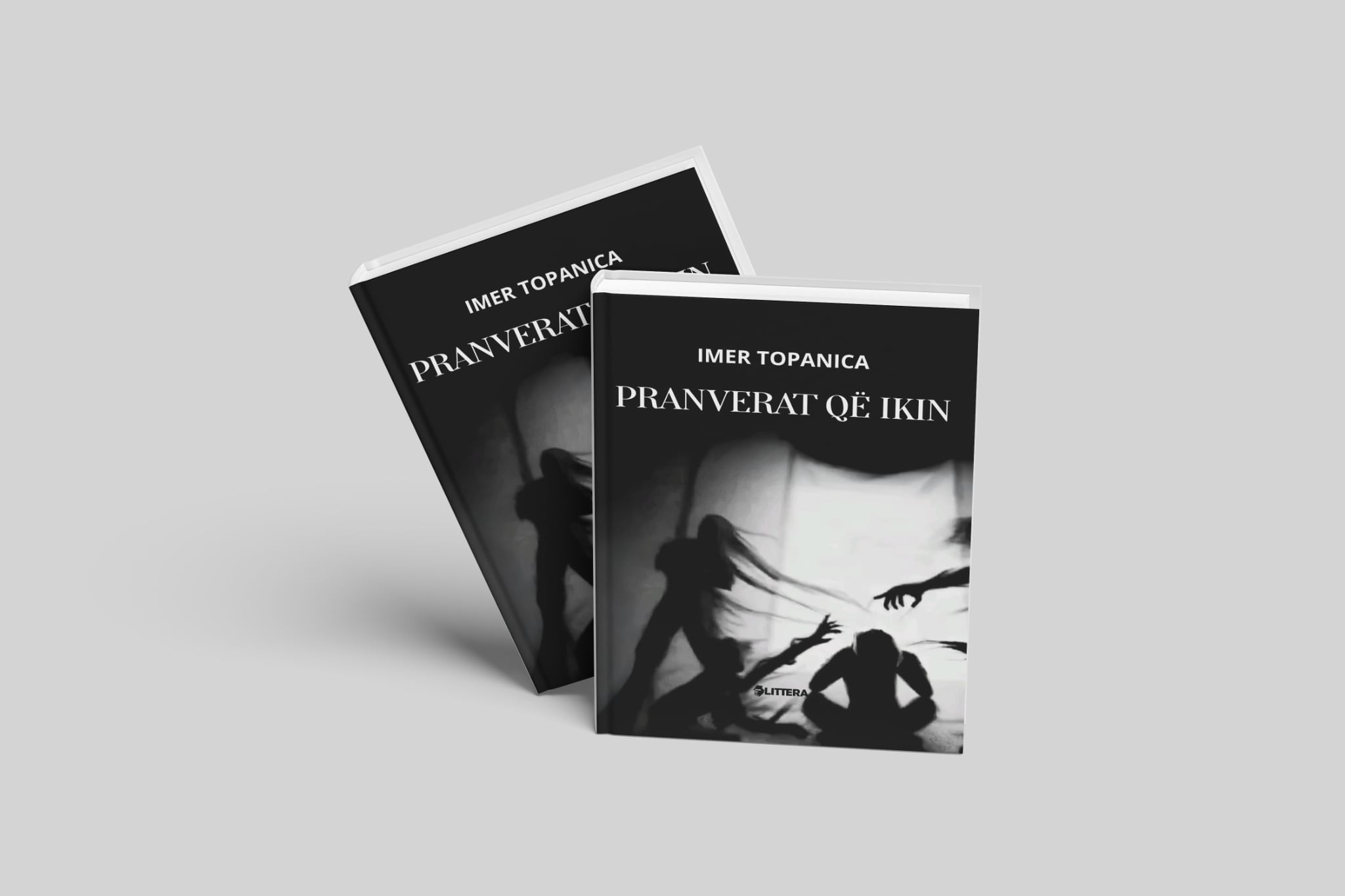 “Pranverat që ikin” i Imer Topanicës, një monument i shoqërisë sonë