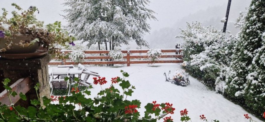 Prevalla mbulohet nga bora