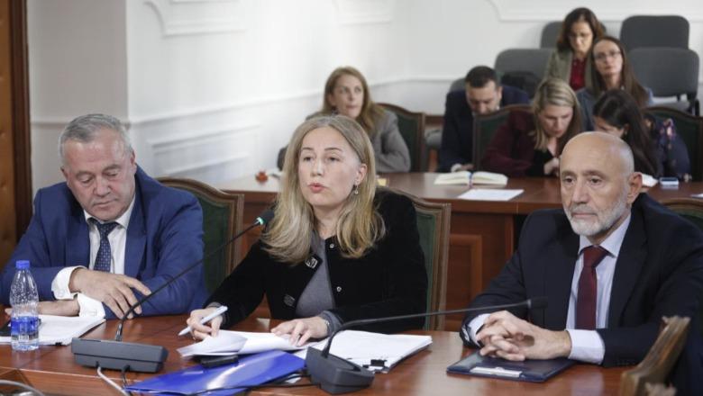 Problematikat e KLP-së, Mirela Bogdani-deputetëve: Të organizohet një forum informal për të gjetur “kurën”