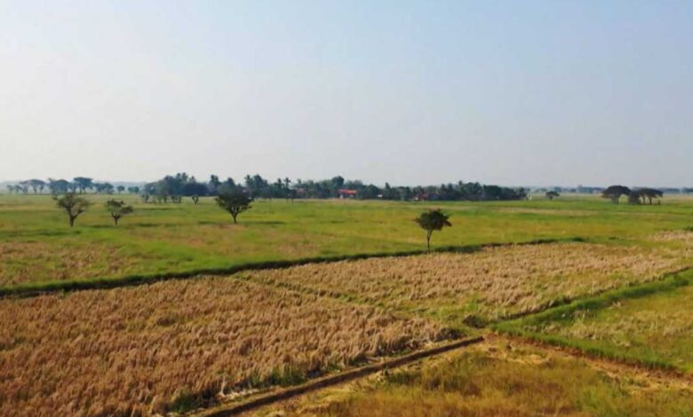 Qeveria rikthen kompensimin e TVSH-së në bujqësi nga 2026-ta, do të jetë 10%