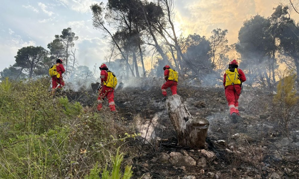 Rama paralajmëron: Në zonat pyjore që digjen, për 30 vite s’do jepet asnjë leje ndërtimi