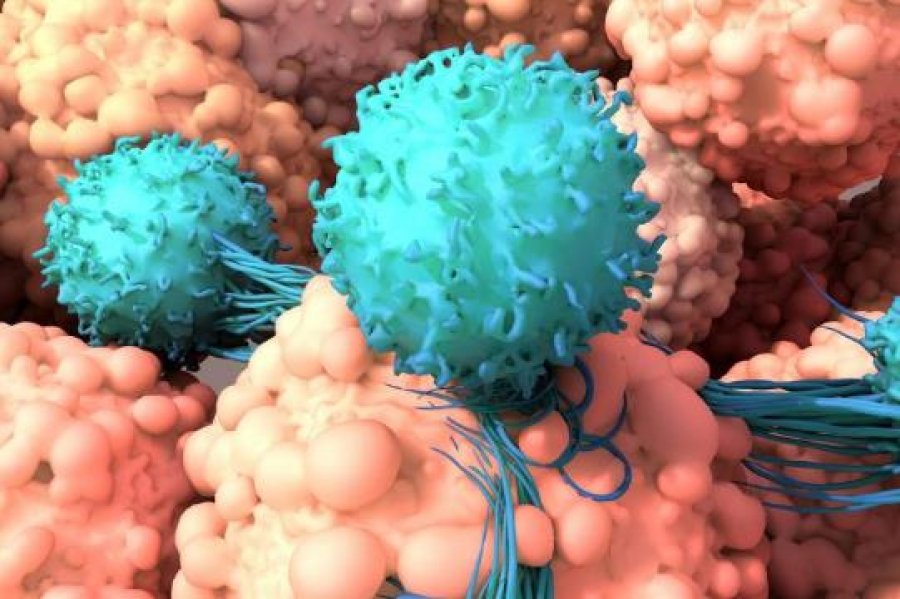 Rishikimi i kirurgjisë së kancerit: A po e heqim armën më të mirë të trupit kundër tumoreve?