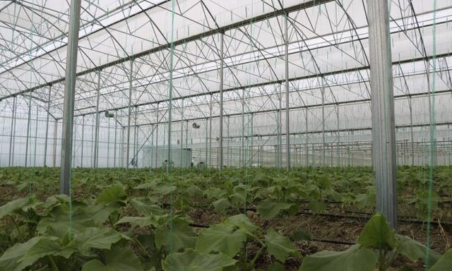 Rregulla të reja për kontrollet e ngarkesave të produkteve organike ose të importuara