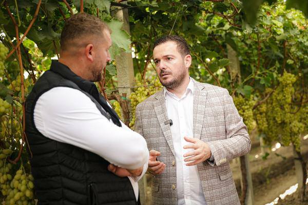 Salla: Eksportet bujqësore në rritje të qëndrueshme