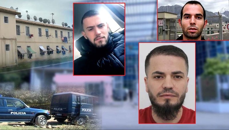 “S’do ndalem deri sa t’i vras të gjithë burrat e tyre”/ Zbardhen bisedat e Aurel Hoxhës në SkyECC