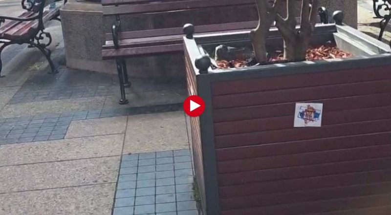 Serbët provokojnë para Hotelit të Kombëtares, vendosin hartën e Kosovës me flamurin serb